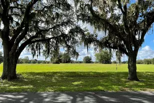 Tbd SE 116th Pl Rd, Ocala, FL 34480 - Photo 1