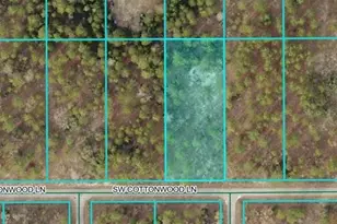 Lot 35 SW Cottonwood Ln, Dunnellon, FL 34431 - Photo 1