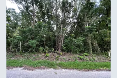 0 SE 135 Place, Summerfield, FL 34491 - Photo 1