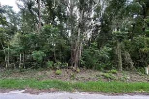 0 SE 135 Pl, Summerfield, FL 34491 - Photo 1