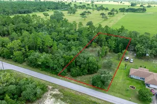 Lot24 SW Tiger Lake Blvd, Dunnellon, FL 34431 - Photo 1