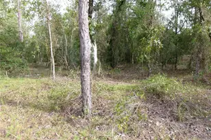 Lot 8 SW Nautilus Blvd, Dunnellon, FL 34431 - Photo 1