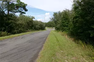 Lot 3 SW Nectarine Ln, Dunnellon, FL 34431 - Photo 1