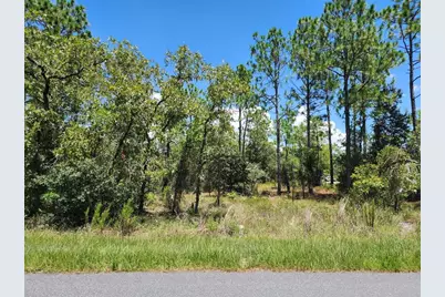 Sw Beach Boulevard, Dunnellon, FL 34431 - Photo 1