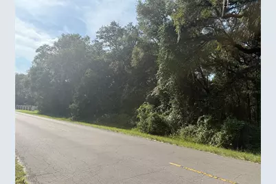 Tbd SW 155th St SW, Dunnellon, FL 34432 - Photo 1