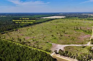 SW County Road 249, Jasper, FL 32052 - Photo 1