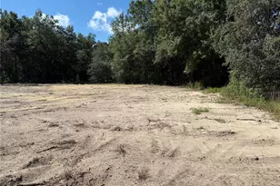 13498 SW 106th St, Dunnellon, FL 34432 - Photo 1