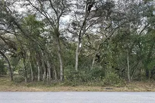 56 N Fresno Ave, Hernando, FL 34442 - Photo 1