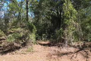 SW 129 Terrace, Ocala, FL 34481 - Photo 1