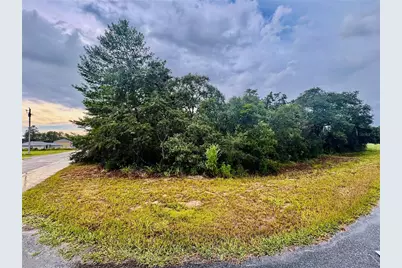 Tbd SW 111th Pl, Ocala, FL 34476 - Photo 1