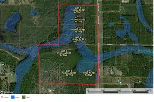 Tbd NE 125th Ave, Fort Mc Coy, FL 32134 - Photo 1