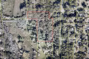 Tbd County Road 423, Lake Panasoffkee, FL 33538 - Photo 1