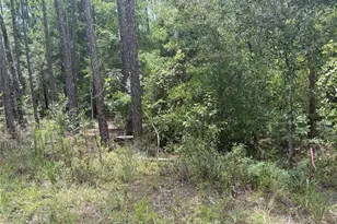 00 SW 87th Loop, Dunnellon, FL 34431 - Photo 1