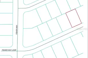 Fisher Way Loop, Ocklawaha, FL 32179 - Photo 1