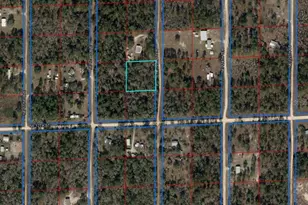 Tbd NE 123 Terrace, Williston, FL 32696 - Photo 1