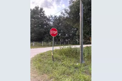 Lot 27 SW 111th Lane, Dunnellon, FL 34432 - Photo 1