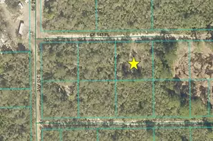 21068 SE 143rd Pl, Umatilla, FL 32784 - Photo 1