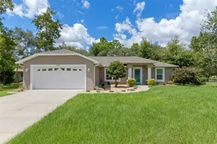 3894 S Emma Jane Terrace, Homosassa, FL 34448 - Photo 1