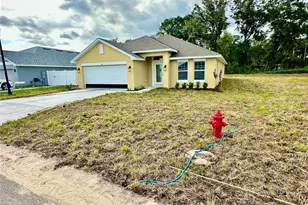 4619 NE 32nd Pl, Ocala, FL 34470 - Photo 1