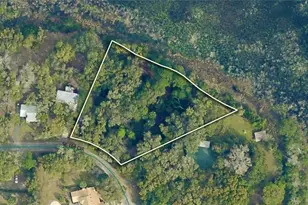 Tbd SE 164th Circle, Ocklawaha, FL 32179 - Photo 1