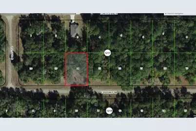 1645 E Ivydale Drive, Dunnellon, FL 34434 - Photo 1