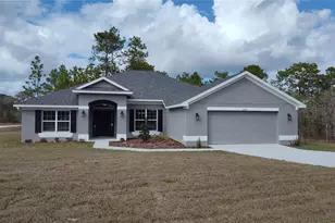 12029 Seabird Ave, Weeki Wachee, FL 34614 - Photo 1
