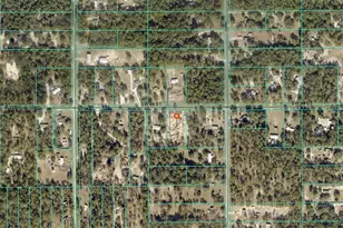 0000 SW 44th St, Dunnellon, FL 34432 - Photo 1