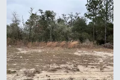 Lot 27 SW 77th Avenue, Ocala, FL 34473 - Photo 1