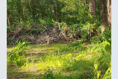 Jasmine Road, Altoona, FL 32702 - Photo 1