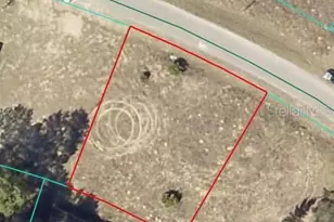 Malauka Radial, Ocklawaha, FL 32179 - Photo 1