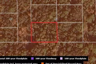 108 Calcutta Ct, Georgetown, FL 32139 - Photo 1