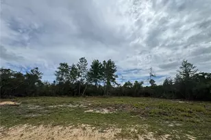 NE 135th St, Salt Springs, FL 32134 - Photo 1