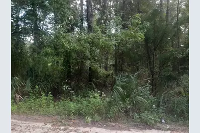 Tbd NE 52nd Place, Williston, FL 32696 - Photo 1