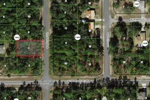 11032 N Trigger Terrace, Citrus Springs, FL 34433 - Photo 1