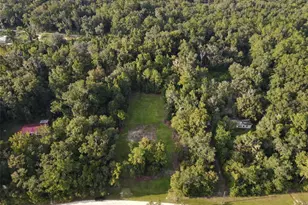 12697 NW 168th Pl, Reddick, FL 32686 - Photo 1