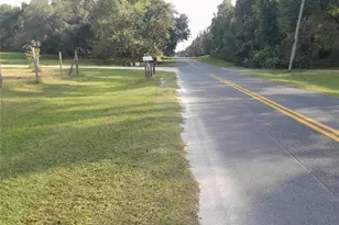 Tbd NE 137th Terrace, Williston, FL 32696 - Photo 1