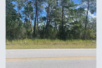 Hemlock, Ocala, FL 34472 - Photo 1