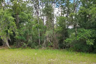 8650 SW 138th Ln, Ocala, FL 34473 - Photo 1