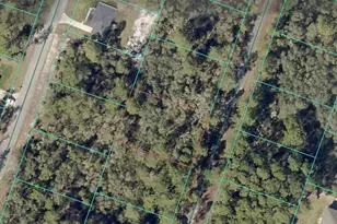 00 Fisher Trace Dr, Ocklawaha, FL 32179 - Photo 1