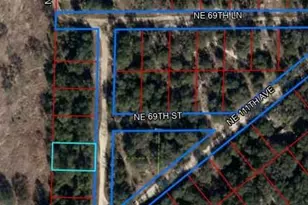 NE 110 Ct, Bronson, FL 32621 - Photo 1