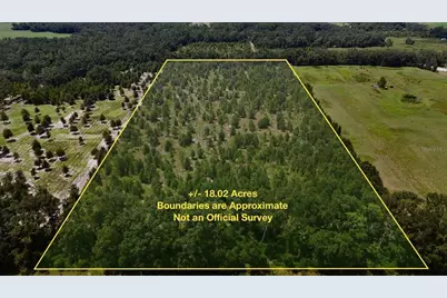 00 176th St, Mc Alpin, FL 32062 - Photo 1