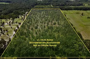 00 176th St, Mc Alpin, FL 32062 - Photo 1