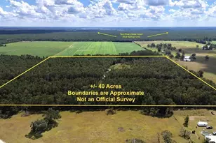 00 NW Winshaw Trail, Jennings, FL 32053 - Photo 1