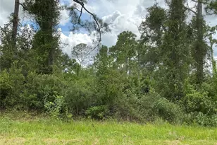 0 Burwin Ave, North Port, FL 34291 - Photo 1