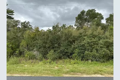 0 SW 110th Street, Ocala, FL 34476 - Photo 1