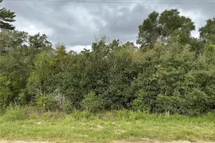 0 SW 110th St, Ocala, FL 34476 - Photo 1