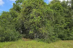 2323 S Hicks Grove Rd, Inverness, FL 34450 - Photo 1