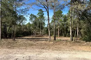 Lot 103 SW 60th Ln Rd, Ocala, FL 34481 - Photo 1