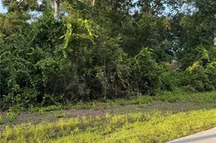 Tbd SE 83rd Ct, Summerfield, FL 34491 - Photo 1