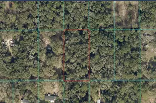 Tbd SW 157th Ln, Dunnellon, FL 34432 - Photo 1